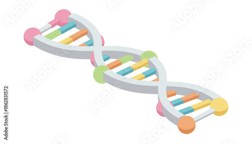 Three dimensional dna double helix model with colorful base pairs isolated on white background genetics concept