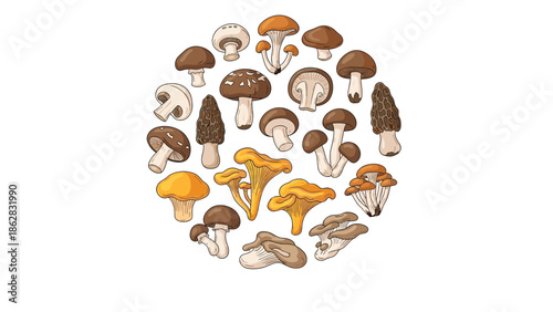 A circular composition of various hand-drawn edible mushrooms, including chanterelle and morel, in a detailed vintage style.
