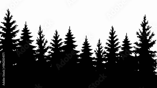 Silhouette of Evergreen Trees Against White Sky in Black and White