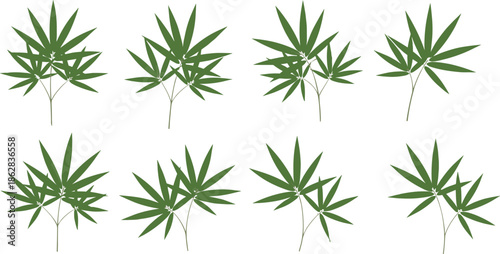 Green Bamboo Leaves Vector Set With Tropical Foliage Botanical Branches Minimal Flat Style Isolated On White Background