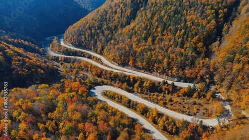 Aerial view of a winding road through a forest with autumn foliage