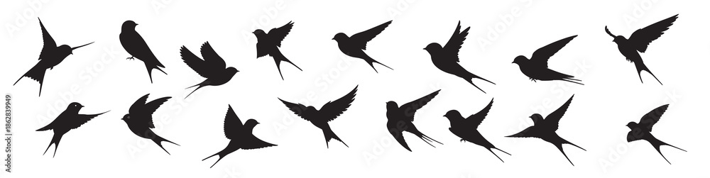 Fototapeta premium swallow birds silhouette white background 