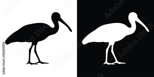 Ibis bird silhouette vector, Spoonbill bird black silhouette