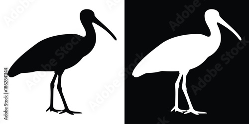 Ibis bird silhouette vector, Spoonbill bird black silhouette