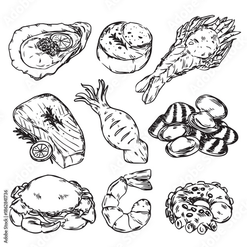 Hand drawn delicious fresh and grilled seafood outline drawing illustration