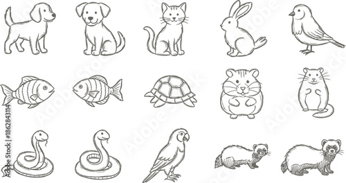 Vector illustration set of funny cartoon animals and cute pet silhouettes featuring doodle sketches and outline drawings for a kids coloring book design