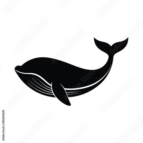 Whale silhouette vector, Underwater elements, Marine life nautical vector, Seafood silhouette vector