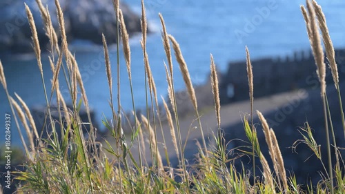 Momenti di luce a Portovenere Liguria