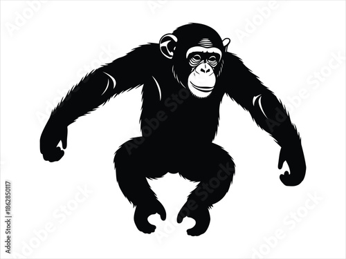 Dynamic Vector Illustration of a Chimpanzee in a Squatting Pose, Ideal for Wildlife Graphics