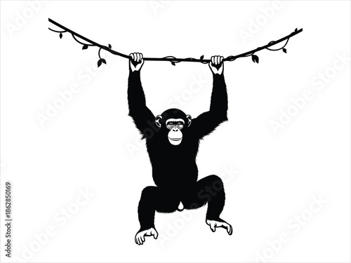 Chimpanzee hanging from a vine, illustration of primate wildlife