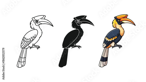 Set of three hornbill illustrations outline drawing, silhouette and full color drawing of a tropical bird