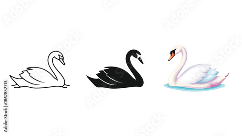 Set of three swans outline drawing, black silhouette and realistic swan illustration water