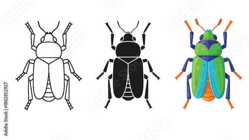 Set of three beetle icons outline, silhouette and colorful illustration