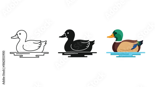 Set of three duck icons, outline, silhouette and color illustration of a mallard duck floating water