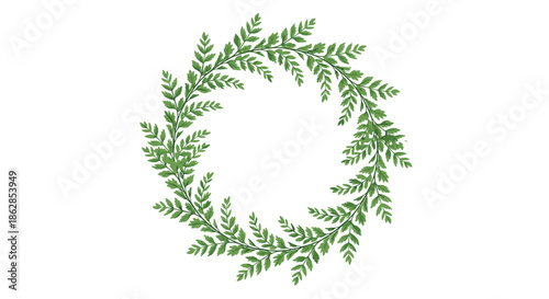 A beautiful, elegant green fern leaves wreath forming a delicate circular frame on a crisp white background, perfect for natural and botanical design elements.