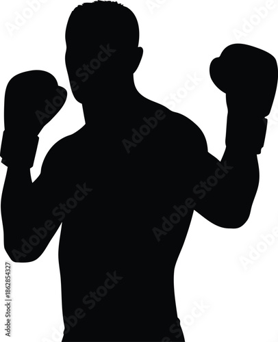 Confident silhouette of a fighter with boxing gloves held up in a classic guard position