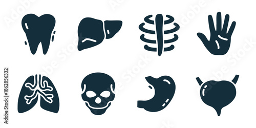 Anatomy and organs excellent icon collection. Tooth, liver, ribs, hand, lungs, skull, stomach, bladder