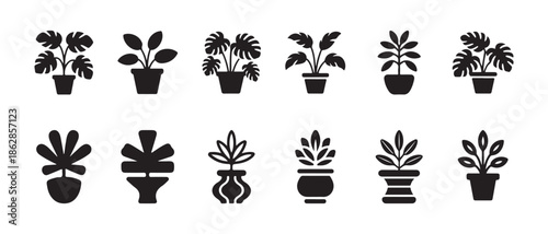 Tropical monstera and palm plant icons set of black silhouettes in pots vector illustration design