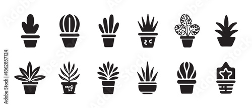 Cactus and succulent icons set of black silhouettes potted desert plants vector flat illustration