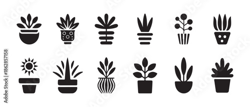 Assortment of potted houseplants icons in flat design style