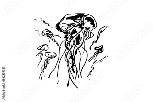 Artistic black and white illustration of a jellyfish