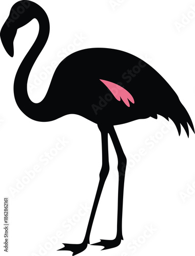 Elegant Flamingo Silhouette Revealing a Hint of Characteristic Pink Feathering on its Body