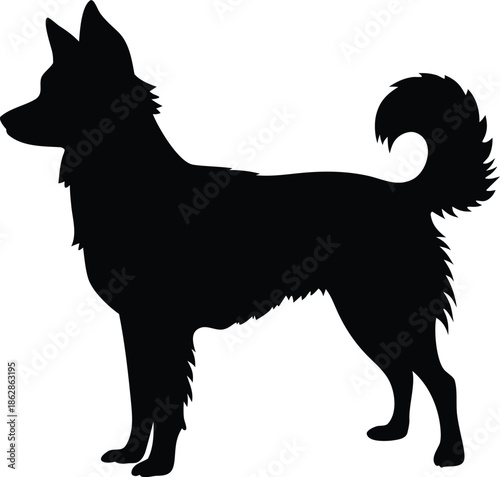 Fluffy small dog silhouette with curly tail standing proudly and attentively