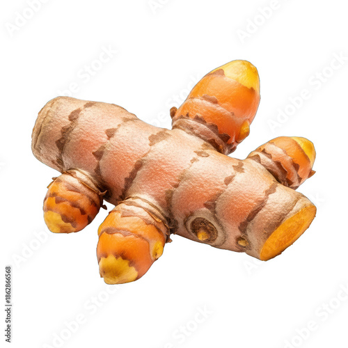 Fresh organic turmeric root (Curcuma longa) with vibrant -yellow color and earthy texture, isolated against a transparent background, a healthy spice and essential culinary ingredient.
