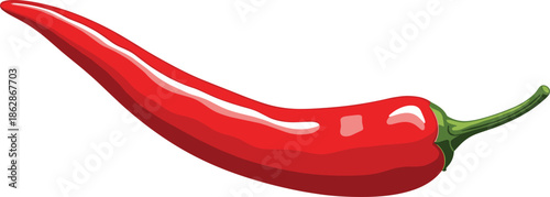 Fresh red chili pepper vector illustration for spicy food cooking recipe Mexican cuisine ingredient hot capsicum and culinary flavor design.