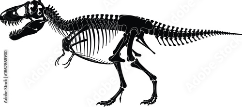 Silhouette, dinosaur, skeleton, T. rex, side view, skull, teeth, claws, tail, bones, prehistoric, fossil, black, white, vertebrae, ribcage, limbs, paleontology, extinct, illustration, anatomy