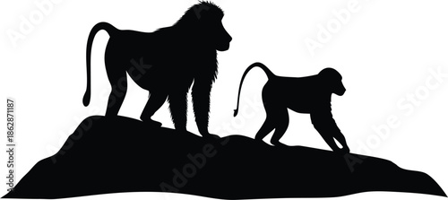 Majestic Baboon and Young Silhouette Walking Together on a Rocky Hilltop