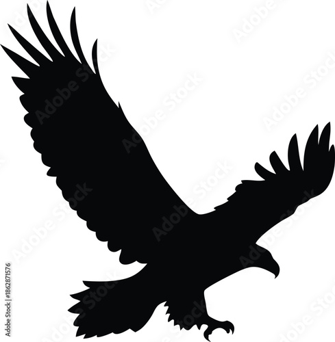 Majestic Eagle Silhouette Preparing for Descent with Extended Talons