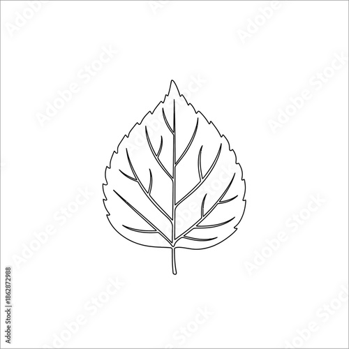 Elegant minimalist outline illustration of a single leaf with detailed veins, creating a natural, botanical design element on a clean white background, perfect for simple