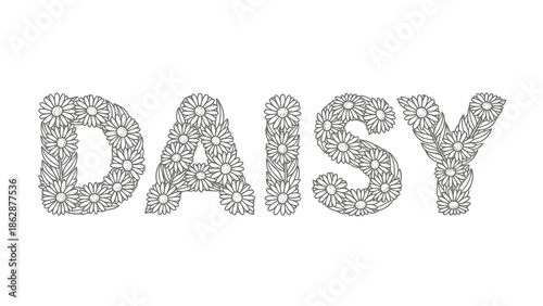 Daisy floral typography on white background