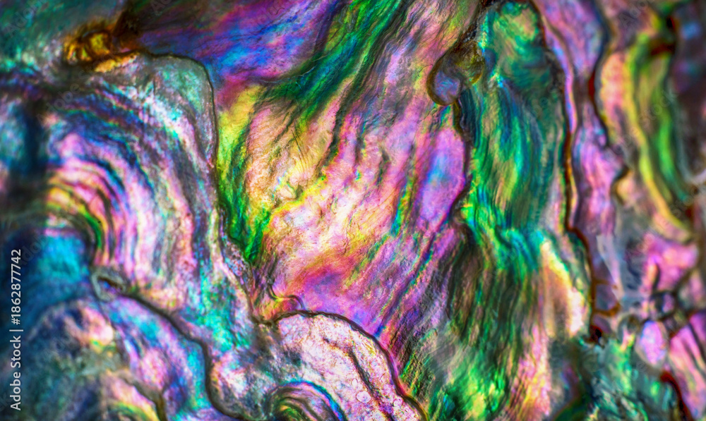 Obraz premium High magnification macro of nature texture pearl shell. Rainbow colors abstract background close-up.