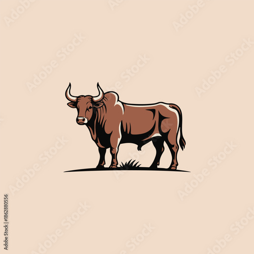 vector illustration of a bull