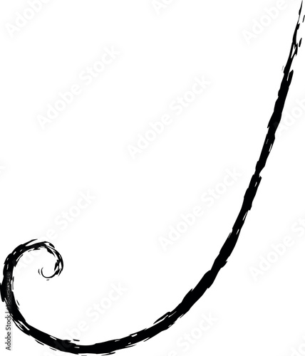 A black swirly line on a white background