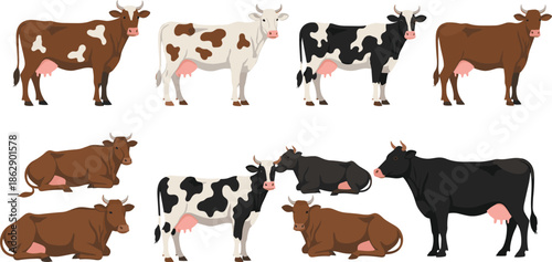 Dairy cow character collection featuring various cattle breeds and colors including brown spotted black and white cows for farm livestock vector design.