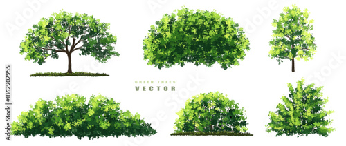 Vector of green tree side view isolated on white background ,watercolor tree elevation for landscape concept,environment scene,eco design, garden for spring