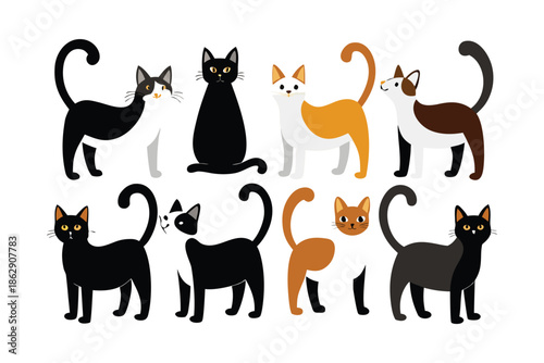 Cute flat vector cat collection set, diverse domestic feline characters in various poses and colors