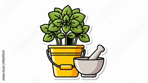 A potted basil plant with a mortar and pestle beside it