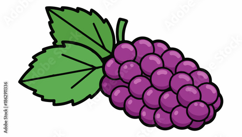A stylized illustration of a plump bunch of purple grapes with vibrant green leaves