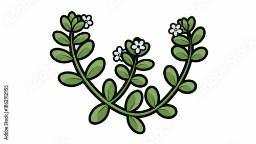 A simple cartoon illustration of a green plant with small white flowers