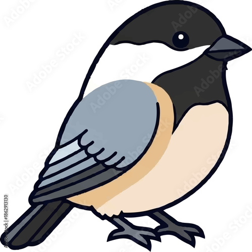 A simple cartoon illustration of a chickadee with black head and white cheeks