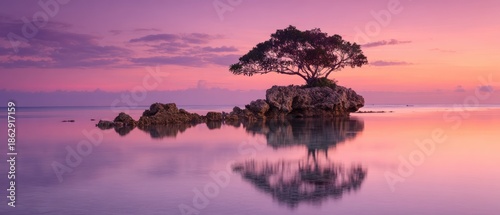 Solitary tree on rock sunrise seascape