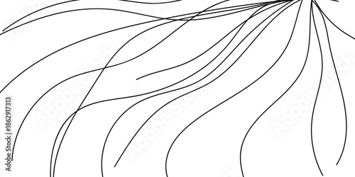 Abstract flowing line art illustration with smooth curved black lines on white background, Minimalist abstract line drawing featuring dynamic curved strokes and modern artistic flow