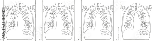 Detailed Outline Vector Icon Set Featuring Anatomical Human Lungs and Bronchial Structures for Pulmonary Health and Medical Diagnostics