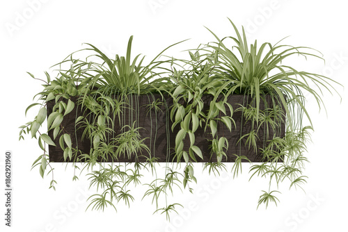 Εκτύπωση καμβά A dark rectangular planter box brimming with vibrant green plants