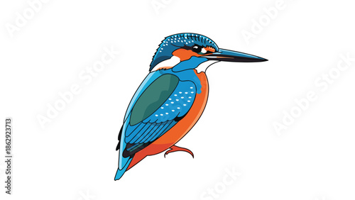 Beautiful kingfisher bird with vibrant blue and turquoise plumage depicted in a side profile view on a clean white background.