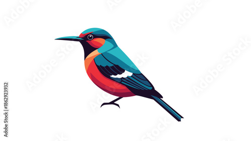 Colorful bird illustration with bright blue red and orange plumage shown in a side profile on a pure white background.